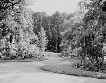 Botanischer Garten, Schlosspark, vor 1945: Partie des 1803-1815 angelegten Gartens