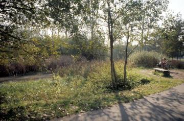 Im Wienburgpark: Ökologisch gestaltetes Naherholungsgebiet, angelegt 1986/87 auf dem ehemaligen Gut Nevinghoff