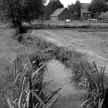 Dorfbach: Steverbogen mit Uferwiesen in Nottuln-Stevern, 1999