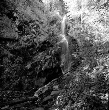 Wasserfall südöstlich Ramsbeck, einziger natürlicher Wasserfall Westfalens und Standortfaktor für die Entwicklung seltener Arten im Naturschutzgebiet Plästerlegge