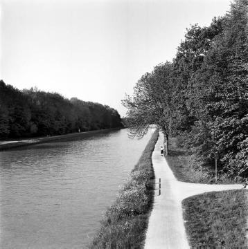 Grünrevier Dortmund-Ems-Kanal: Westliche Uferpromenade nach Süden von der Laerer Landweg-Brücke aus