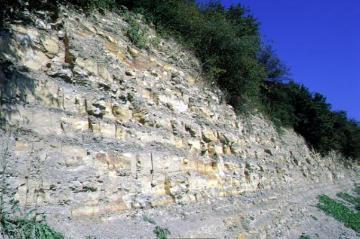 Steinbruch am Kalkofen, Warstein-Allagen: 90 Millionen Jahre alte Gesteinsschichten der Kreidezeit mit fossilreichen Meeresablagerungen (paläontologisches Bodendenkmal)