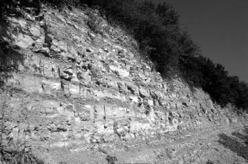 Steinbruch am Kalkofen, Warstein-Allagen: 90 Millionen Jahre alte Gesteinsschichten der Kreidezeit mit fossilreichen Meeresablagerungen (paläontologisches Bodendenkmal)