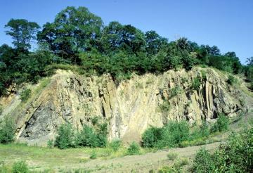 Steinbruch Hagen-Vorhalle: Paläontologisches Bodendenkmal und international bedeutsamer Fundort von 320 Mio. Jahre alten Fossilien des Oberkarbon