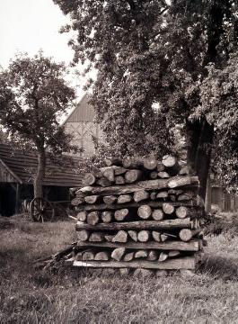 Brennholzvorrat auf einem Bauernhof bei Katrop