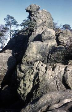 Naturdenkmal "Hockendes Weib" im Naturschutzgebiet Dörenther Klippen, einer 4 Kilometer langen Sandsteinformation im Teutoburger Wald zwischen Ibbenbüren und Tecklenburg