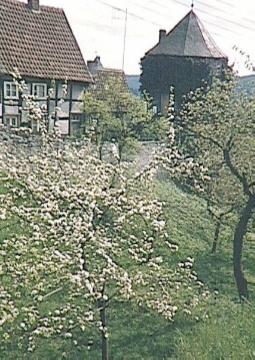 Blühende Bäume vor dem Grünen Turm (Wehrturm der 1816 abgerissenen Befestigung)