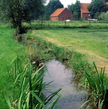 Dorfbach: Steverbogen mit Uferwiesen in Nottuln-Stevern, 1999