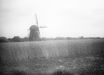 Windmühle in Meinnigsen, ca. 1913.