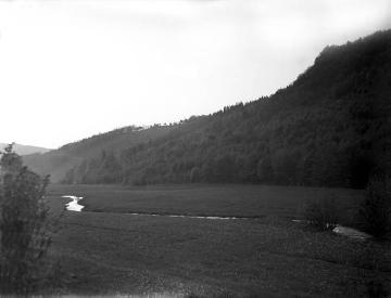 Flusslauf und Talgrund des Albaumer Baches im Bereich der Albaumer Klippen (Naturschutzgebiet)