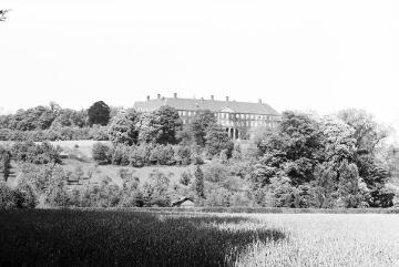 Schloss Cappenberg, Wiesen- und Parkareal mit Blick auf die Schlossrückfront