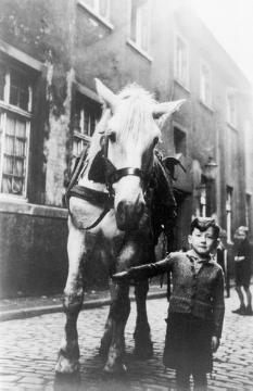 Kleiner Junge mit Pferd in der Lütke Gasse