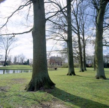 Stadtpark bei Villa Winkel, bis 1969 Privatpark des Villenbesitzers Anton Laurenz (Textilfabrikant)