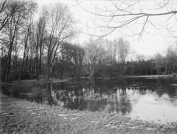 Teich im Stadtpark, ca. 1913.