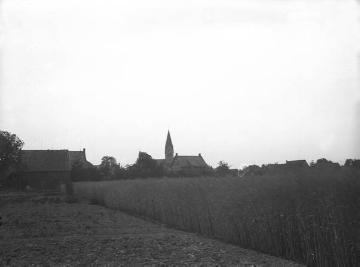 Roggenfeld am Dorfrand von Langeneicke mit Blick auf die St. Barbara-Kirche