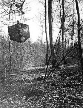 Ballonkorb im Baumgeäst: im Ballonfahrerjargon eine 'glückliche Landung', undatiert, um 1905?