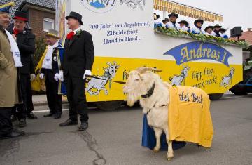 Festwagen auf dem "Ziegenbocksmontag" in Münster-Wolbeck, traditioneller Karnevalsumzug mit Ziegenböcken in der Woche vor Rosenmontag