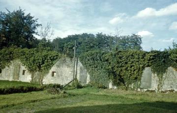 Klosterruine Gravenhorst: Mauerpartie mit Grabplatten der ehemaligen Äbtissinnen