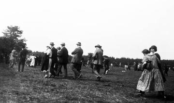 Besucher auf dem jährlichen Wildpferdefang im Merfelder Bruch, 1925