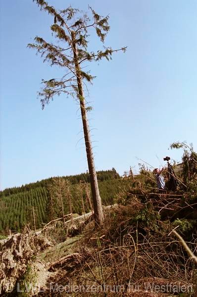 11_598 Schadensbilder in den Wäldern des Sauerlandes nach dem Orkan "Kyrill" am 18. und 19. Januar 2007