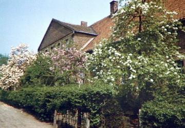 Vorgarten mit Hecke und blühende Bäume an einem Haus in Marienfeld