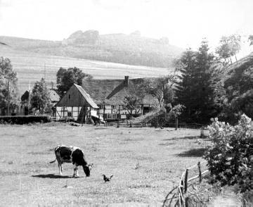 Fachwerk-Bauernhof bei Elleringhausen vor der Kulisse der Bruchhauser Steine auf dem Isenberg, um 1930?