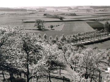 Obstblüte und Münsterländer Parklandschaft bei Stromberg