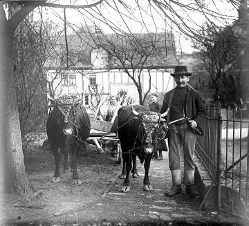 Bauer mit Ochsengespann vor einem Hof (Siegerland)