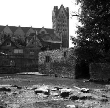 Paderquellen (Rothoborn) mit Blick auf den St. Liborius Dom