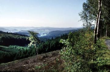 Ausblick von den Höhen des Arnsberger Stadtwaldes