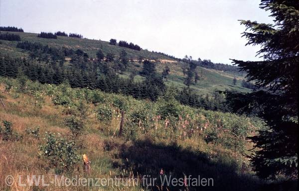 05_501 Westliches Sauerland 1940er - 1970er Jahre (Altkreis Altena)