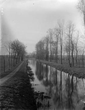 Ortsimpressionen, Westfront 1914-1918: Allee an einem Kanal oder Fluss, ohne Ort, undatiert