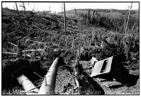 11_606 Schadensbilder in den Wäldern des Sauerlandes nach dem Orkan "Kyrill" am 18. und 19. Januar 2007