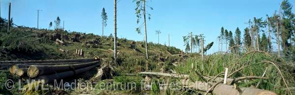 11_609 Schadensbilder in den Wäldern des Sauerlandes nach dem Orkan "Kyrill" am 18. und 19. Januar 2007