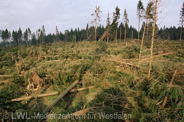 11_555 Schadensbilder in den Wäldern des Sauerlandes nach dem Orkan "Kyrill" am 18. und 19. Januar 2007