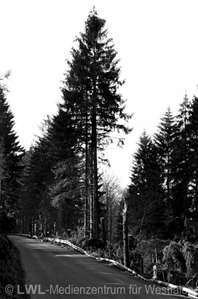11_556 Schadensbilder in den Wäldern des Sauerlandes nach dem Orkan "Kyrill" am 18. und 19. Januar 2007