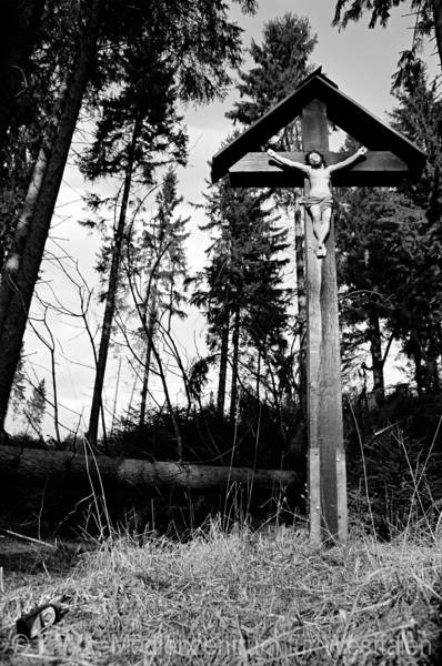11_558 Schadensbilder in den Wäldern des Sauerlandes nach dem Orkan "Kyrill" am 18. und 19. Januar 2007