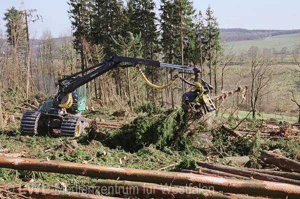 11_573 Schadensbilder in den Wäldern des Sauerlandes nach dem Orkan "Kyrill" am 18. und 19. Januar 2007