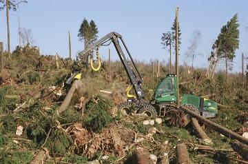 Orkanschäden nach "Kyrill" am 18./19.01.2007: Holzvollernter beim Abtragen des Windbruchs auf dem  Rhonardberg (Forstamt Olpe)