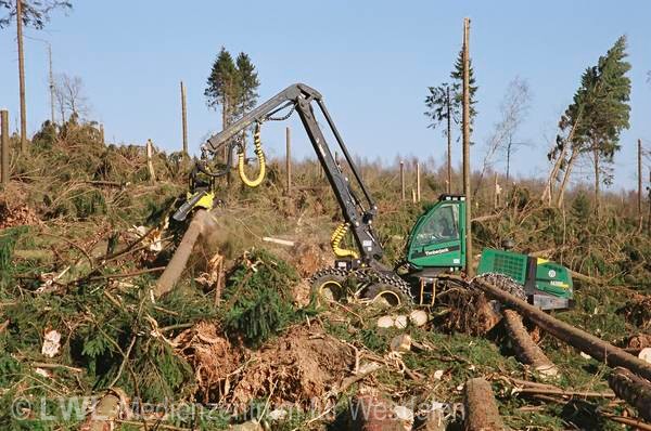 11_574 Schadensbilder in den Wäldern des Sauerlandes nach dem Orkan "Kyrill" am 18. und 19. Januar 2007
