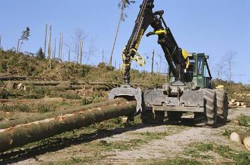 Orkanschäden nach "Kyrill" am 18./19.01.2007: Abtransport von geerntetem Holz aus dem Windbruchareal auf dem Rhonardberg (Forstamt Olpe)