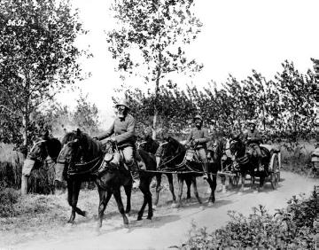 Kavallerie im Ersten Weltkrieg: Munitionskolonne mit Gasmasken beim Durchqueren eines vergasten Waldes