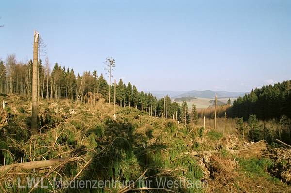 11_550 Schadensbilder in den Wäldern des Sauerlandes nach dem Orkan "Kyrill" am 18. und 19. Januar 2007