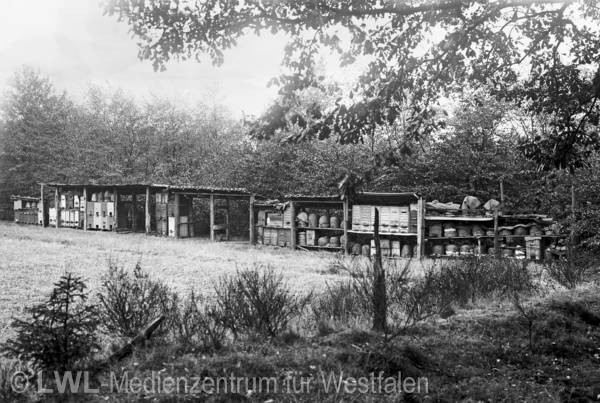 08_305 Slg. Schäfer – Westfalen und Vest Recklinghausen um 1900-1935