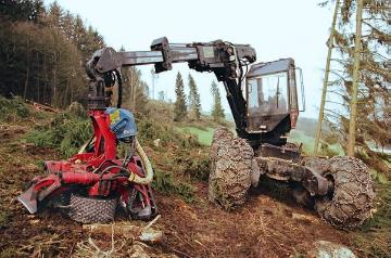 Orkanschäden nach "Kyrill" am 18./19.01.2007: Holzvollernter beim Abtragen des Windbruchs im Fredeburger Land bei Mailar (Forstamt Schmallenberg)
