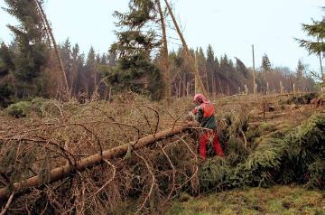 Orkanschäden nach "Kyrill" am 18./19.01.2007: Forstarbeiter bei der Beseitigung des Windbruchs im Fredeburger Land bei Mailar (Forstamt Schmallenberg)