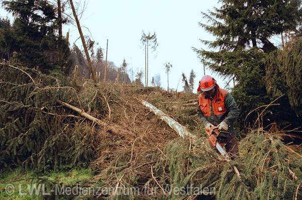 11_546 Schadensbilder in den Wäldern des Sauerlandes nach dem Orkan "Kyrill" am 18. und 19. Januar 2007