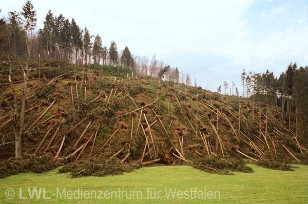 11_547 Schadensbilder in den Wäldern des Sauerlandes nach dem Orkan "Kyrill" am 18. und 19. Januar 2007