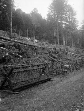 Erster Weltkrieg, Vogesen: Stacheldrahtbarrikaden "an Feldwache 2 mit Unterstand", ohne Ort, April 1915