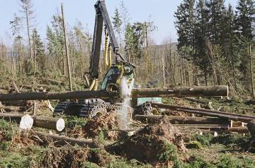 Orkanschäden nach "Kyrill" am 18./19.01.2007: Holzvollernter beim Abtragen des Windbruchs auf dem  Rhonardberg (Forstamt Olpe)